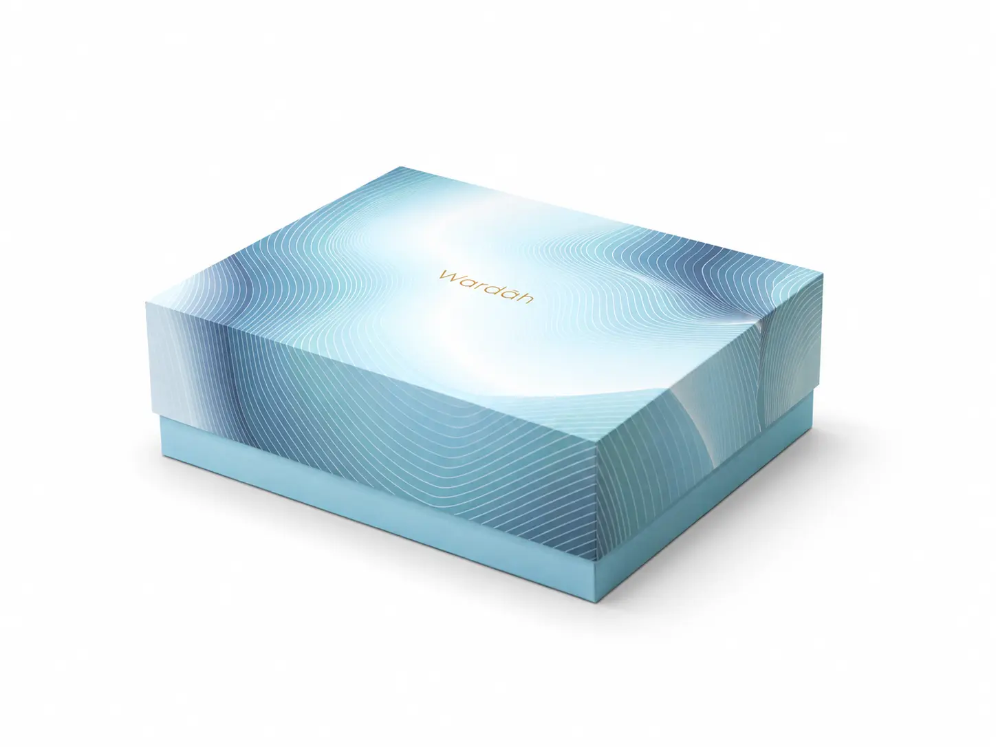 Hardbox Top Bottom Wardah